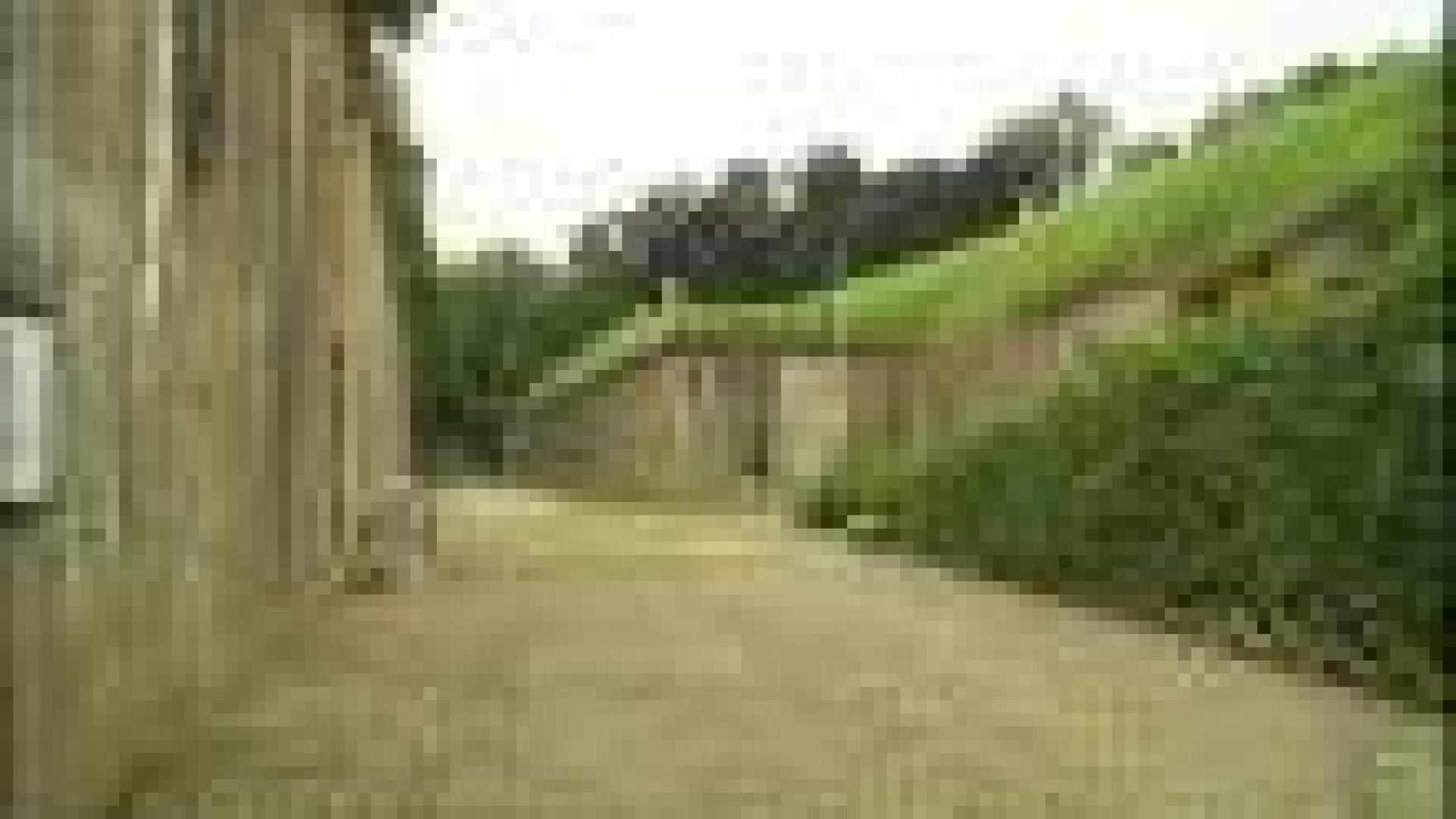 Visitez nos Forts ce samedi